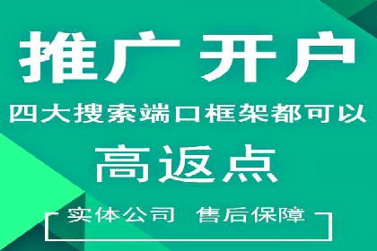 成功运用SEM服务实现品牌推广的案例分析